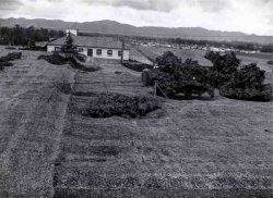 This is the plant from the sky covered with the tarp. During World War II the Army Corps of Engineers needed to hide the Lockheed Burbank Aircraft Plant to protect it from Japanese air attack. They covered it with camouflage netting to make it look like a rural subdivision from the air.

Before being hidden beneath tarp
Cars hidden below tarp
Parking lot hidden from below