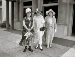 Washington. April 25, 1925. "Mrs. H.A. Colman, Mrs. C.E. Holmes, Mrs. C.M. Busch." National Photo Company Collection glass negative. View full size.
And here&#039;s to you, Mrs. ColmanJesus loves you more than you will know ... 
She may need some penitence for her inattention to fashion, but I am guessing that she has her own ideas of style and prefers notice on her own terms! The other personages have flair and you can imagine that they glide gracefully for all their rotundity, God bless them.
The MayflowerThis is the Connecticut Avenue entrance of the Mayflower Hotel. These ladies would be facing southwest, more or less toward the White House, three blocks away. I'm betting the one on the left is the free spirit of the group.
League of American Pen Women Heavy HittersMrs. Colman was president of the National League of American Pen Women, an arts association that exists to this day. Eleanor Roosevelt was also a member. I'm guessing this was taken at their national convention.
FashionistasThe 1925 version of the Dixie Chicks
Some Like It Hot... featuring Lew Lehr, Alan Hale Jr. and Kathy Bates!
Mrs. Holmes is the most tastefuland she looks as though she might also be the most friendly; Mrs. Busch is the second runner-up, but poor Mrs. Colman! Couldn't her maid have taken her aside, in an act of charity, and set her straight? Were polka-dots ever this popular? And are those melted marshmallows on her hat? Might she have been an opium abuser?
A little off the topOh Boy! I can't wait for the swimsuit edition.
(The Gallery, D.C., Natl Photo)