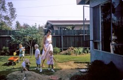 When was the last time you attended a kid's birthday party with ladies in white dresses and the kids were dressed in their best not-suitable-for-dirt clothes? This was 1958, West Covina California. This was my birthday party, dammit! View full size.
More infoThanks, glenkohl - I hope to see some of your pictures here.
More info on this picture: I'm the kid kneeling by the dirt pile. Doug, my best pal, is holding the bucket in the back. Precious memories indeed. The house next door had a built-in pool, and a good friend named Dennis. The house next door to Dennis was Doug's house, and it was my second home. There was built-in pool, a second mom; so nice - this was suburbia back in the day. The lady shown is a neighbor and the mother of the boy up front and his little sister. I was never friends with him, but hey, it was a birthday party, and you didn't have to like the kid whose party you were invited to, right?
Happy Birthday, dammit! :)I turned 5 that year, and have plenty of old family photos that are eerily similar to this one.
(ShorpyBlog, Member Gallery)