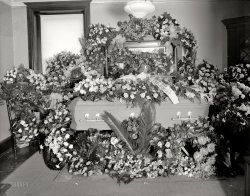 Washington, D.C., circa 1921. "Manning, 617 Colorado Building." National Photo Company Collection glass negative. View full size.
In the midst of lifeThere is just something very demoralizing about this image, even beyond the subject matter. Those vast banks of gray flowers, perhaps. Something of a memento mori effect.
And that looks as though it may be a steel casket, which I believe was still a relative rarity in the early '20s. 
Don&#039;t forget to writeEither the gang at work are sad to see him go, or they're celebrating like mad.
Fragrant funeralsI was four when my grandmother died and in those days, the funerals were at the home of the deceased.  She was in repose in her living room for three days and two nights and the scene was similar to this, although not as elaborate.  Since we were also staying at her house around the clock, I have never been able to forget the strong sweet smell of flowers that filled the house, most especially the carnations.  Even to this day, the smell of carnations takes me back there, reminding me of that funeral in every minute detail.   Off the subject, my son was in Queens, N.Y. at the cemetery for the burial of John Gotti and said there were at least three or four huge full-size vans filled with incredible floral arrangements.  Van Gogh was smothered with sunflowers.  What else do you wanna know?  
Press CorpseGeorge H. Manning is listed in the November 1921 Congressional Directory as a member of the White House Press Corps representing the Richmond News-Leader and Roanoke Times, both at 617 Colorado Building.
However, he continued authoring articles into the '20s and '30s, so I'm guessing he is not the coffin-dweller, but perhaps the one who commissioned the photograph.
Colorado BuildingHere's the outside.
I am not cryingIt's my allergies that are acting up!
From the Gang at Work?  You're killin' me.
Fair Thee WellThe ultimate retirement party theme!  Bad sign if you're the guest of honour!
Such a shameHe (or she) just barely got a glimpse of the Roaring Twenties!
[As we can see, it's a he. - Dave]
Truth dawns on CopsThe evil mastermind behind all those gangland killings - Freddie the Florist.
Hope for the futureWe always take up a collection and send flowers at the place where I work. There's already a kitty started for the big day when the boss kicks the bucket.
FreemasonThe arrangement on top of the mirror (with a G in the center) is a masonic seal, so the decedent was likely a Mason.
Due ritesOut of respect, let's not leave Manning's death unremarked. At least people missed this person enough to send big piles of flowers.
The contestIt seems that when a person dies, a competition immediately erupts among acquaintances and family to see who can send the most elaborate floral decoration to adorn the casket.  All you have to do is call a florist, lay out money, and your condolences are displayed via lavish vegetables in the form of wreaths, and the like.  It's easy.  You don't have to give any thought to it, so remembering anything notable about the deceased, or expressing heartfelt sentiment, can be left to the preacher.  You give him a tip.  As for the poor dead person, what do they care?  Not a jot.  It's a funny custom in this culture and I don't get it.  When I croak I hope people will actually expend a bit of effort to remember something we shared.  With luck it will be a good memory, but even if it is bad I prefer it over oceans of witless, but mandatory floral extravaganzas.    
At least it doesn&#039;t say"From His Grateful Employees"
(The Gallery, Natl Photo, NYC)