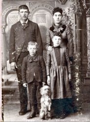 I purchased this cabinet card photo in an antique shop in Duluth, MN, in 1998. This pooch really knows how to pose. View full size.