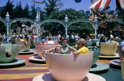 Disneyland about 1967. The "vomit cups," as I recall them. Here are my indefatigable mom, still alive and kicking, my little brother and moi. These were the days of the ticket books. The letter coded rides! From what someone told me, it is now nearly $80 to be admitted to Disneyland. Kinda makes me NOT want to go. This was one of a series of my dad's crystal clear 35mm slides. Dad was a fine amateur photographer. He just had a nice touch! Of course, depending on where he sent his film to be developed, results could vary.  Here's a link from a popular Disneyland site showing how the ride has changed over the years. View full size.
I Was ThereThis does bring back memories.  I worked at this exact time as a ride operator on this ride as well as the adjacent Mr. Toad's Wild Ride. The two rides were under the same foreman, so the crews would tend to shift back and forth. Mr. Toad was more fun to operate because when we got bored we could mess with the car spacing and, once in a while, stand inside and jump on the back of a car mid-ride, just to give the riders an extra thrill. Obviously, none of this was Disney-approved procedure.
Nice touch is right!Yes, the vomit cup ride at Disneyland (among other places).  I never went on any of them because I knew it was just asking for being nauseous the rest of the day!  
Well NamedThe woman wearing yellow in the upper left cup looks like she agrees with your name for the ride!
Teacups and TunaAt the right, the late, lamented Captain Hook's Pirate Ship, home of the Chicken of the Sea restaurant. I wonder how many, having just devoured a tuna sandwich or two, went directly on the teacup ride, to their eventual regret.
A Big Strong Friend...taking charge of the wheel; his drunkenness didn't affect him, but mine did me. Later, I saw him walking around inside Mr. Toad's Wild Ride.
Ahhh, Grad Night.
HurlI went on that ride around 1958 or so with my Mom and brother.  My brother took great delight in getting it spinning at top speed.  I did not toss my cookies, but staggered off the ride looking green!
DIZZY-landIf you're over 40, never go on a ride like this with your kids--you'll embarrass them.
Quality shotRazor sharp, grain-free focus, and beautiful bright colors. Mvsman, your dad did a great job, and chose a quality film processor on this roll!
FarkedTeacups Farked.
WOW!Now that revisits my childhood much as any thing I've seen yet! I was looking for myself in the photo! Thanks!!
(ShorpyBlog, Member Gallery)