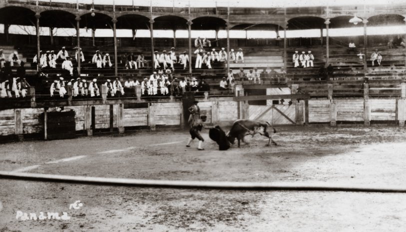 Bull fight in Panama, 1930. Taken by my great-great uncle George Geyer when he was stationed in the Navy aboard the USS Colorado. View full size.
