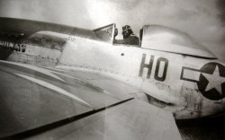 My father, Lt. F.C.Reading, posing in P-51D "Sexshunate."