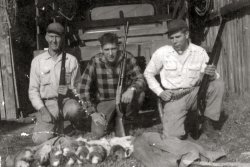 My grandfather, dad, and his brother proudly display dinner -- a common photographic theme from family pics. This photo is probably from around 1950, but we're not certain. My dad, who was born in 1935, still hunts and eats what he nets. I've never been able to join in ... too soft-hearted.