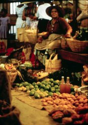 Found one of my pictures among Dad's slides, which makes me think this is probably a dupe, not the original. This was shot in the market at Port Lucie, Jamaica, in August, 1967. Available light, shot from the hip. The original and the rest of my slides and negatives seem to have gone missing. View full size

Steve Miller
Someplace near the crossroads of America