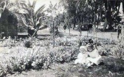 My grandmother, Katherine Brown Malpede, is on the right with her sister, Margaret. What I love about this picture is that it is taken in the front yard of the family house and you can see how vastly different Los Angeles used to be. The area (Vermont Avenue) is actually now a pretty bad part of the city, but it used to be so pretty.