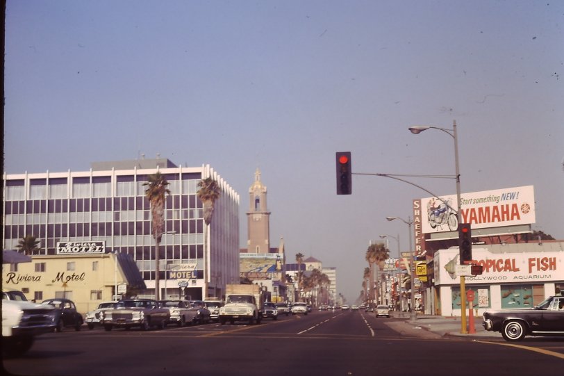 A view down a road in southern California in June of 1967. View full size.
