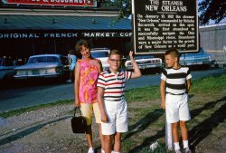 Here are my mom, me (wearing the hated glasses) and my brother Jeffrey again; this time in front of the Café Du Monde in New Orleans; probably taken in 1964. We'd drive over from Houma, where we then lived, and spend the weekends. The New Orleans farmer's market was a fun place to visit in those days; we'd go there after a trip to the Audubon Park Zoo. Point me toward the beignets, please!
After having our fill of powdery donuts and chicory coffee, we'd wander through the French Quarter until evening, then we'd have dinner in an Italian place called, I believe, Madame Turchi's or Turci's. It had the best spaghetti and meatballs I've ever had, before or since. The lady who owned it evidently had been an opera singer at one time long before and she and my mom were great friends. Wonderful days! View full size.
Thanks, Hoople365!Not only did Hoople365 confirm that I (unbelievably for me) got the name of the restaurant's owner correctly (Turci), but even found the spaghetti-sauce recipe for me! It seems that I'm not the only one with very fond memories of that grand old place.
Wow! If I can coerce my wife into making this recipe, I'll enjoy a dish I haven't had since 1967 or so.
Shorpy is an amazing site with amazing residents!!!
Thanks!
--Jim
Recipe...Care to share the Sauce recipe with the rest of us?
I am always on the lookout for something good.
Sauce recipeJim,
Can you share that recipe for us? I am quite interested!! 
Love the picture, looks like it was just taken last week.
Not your average spaghetti sauceWhat is supposed to be the recipe for Spaghetti alla Turci is available here: http://www.nomenu.com/joomla1/index.php?option=com_content&amp;view=article&amp;...
It is not trivial.
Turci&#039;s Spaghetti SauceThanks for the nice comments. I'm reluctant to post a two-and-a-half page (I printed it in 14-point type) recipe, and am also reluctant to post a link to another site here. Violating the rules or hospitality of Shorpy.com is not something I want to risk doing; it's the best site out there.
That being said, if you Google the term "Spaghetti Sauce alla Turci" you'll find it! And I bet you'll agree it's worth the download!
Reading the history of that restaurant reminded me of their ravioli, which has been unequaled in my life since those days. I had ravioli in a NYC restaurant (forgotten the name, darn it) that was exceptional, but Turci's is still the best, at least in my experience. It seems many others shared my enthusiasm for that grand old place.
--Jim
(ShorpyBlog, Member Gallery)