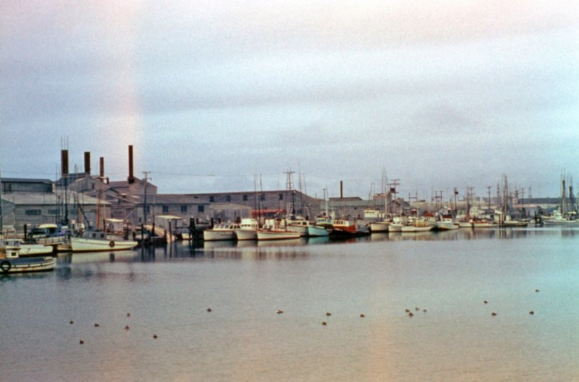 Moss Landing, California, located a few miles north of Monterey, was a wharf and fishing village on the Pacific coast. The canneries in the background eventually closed and the economy declined, but the town is now somewhat of a tourist destination, with shops, restaurants, and other sights. View full size.
