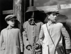 1921. The Trevor family's trip through the western United States. From the John B. Trevor collection. More here. View full size.