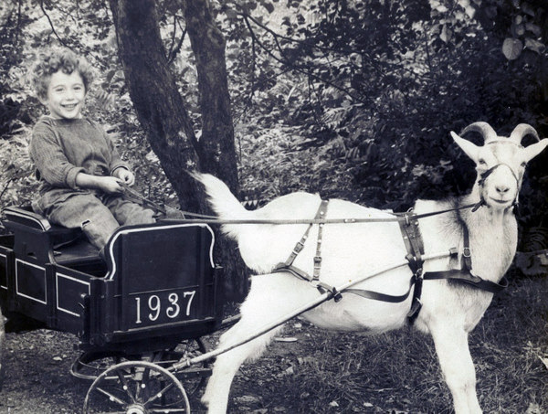 On our farm in Saugus, Mass, 1937. I now have a Road Trek Van RV. View full size.
