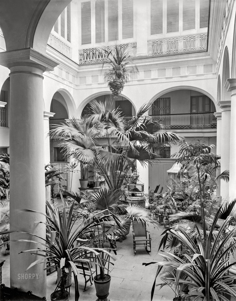 Havana, Cuba, circa 1904. "Courtyard of Hotel Florida, Calle Obispo." 8x10 inch dry plate glass negative, Detroit Photographic Company. View full size.