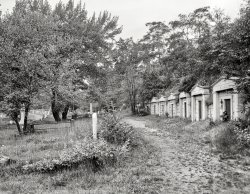 Portland, Maine, circa 1910. "Longfellow family tomb, 2nd from right, Western Cemetery." Resting place of poet Henry Wadsworth Longfellow, author of "Paul Revere's Ride," "The Song of Hiawatha" and other classics. 8x10 inch dry plate glass negative, Detroit Publishing Company. View full size.
Tomb be or not tomb beWhile I think this is the tomb of some members of his family, it looks like the remains of Henry Wadsworth Longfellow are resting a ways south of here, in Boston.
Dead poet societyInteresting.   Even more interesting.
Had to look twiceAt first glance I thought these were Tourist Cabins!
(The Gallery, DPC)