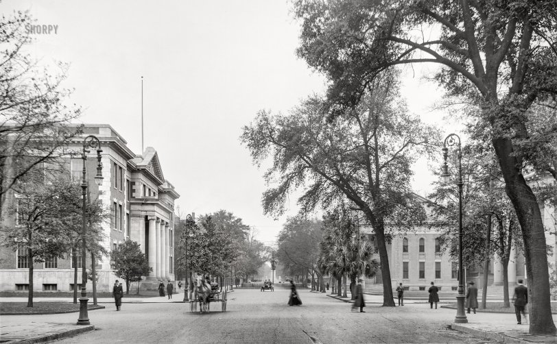 Savannah, Georgia, circa 1908. "Bull Street and the Chatham Academy, looking south." 8x10 inch dry plate glass negative, Detroit Publishing Company. View full size.