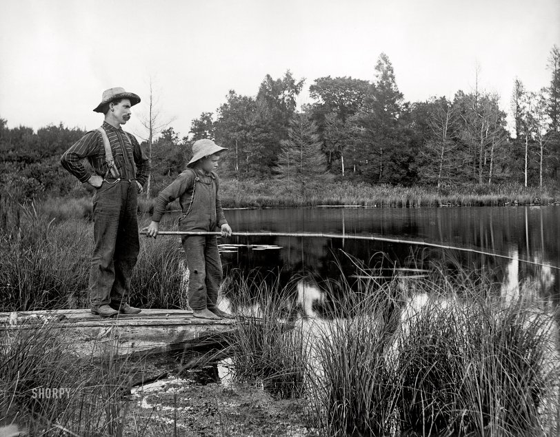 Circa 1900. "Man and boy fishing with cane pole from shore." 8x10 inch glass copy negative of a print, Detroit Photographic Company. View full size.