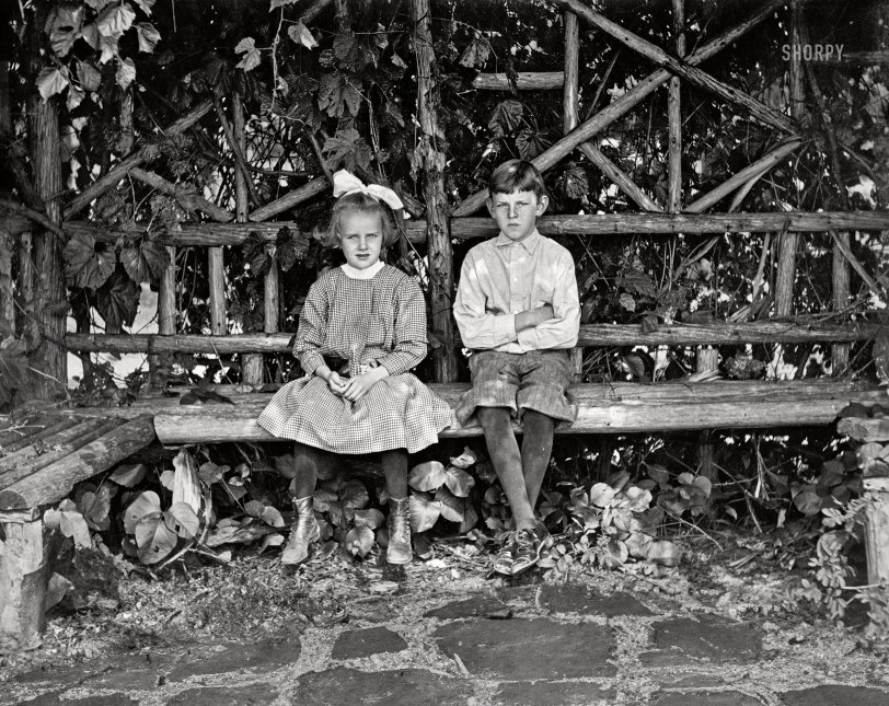 Detroit or thereabouts circa 1910. "Boy and girl seated in rustic arbor ('Donald Fuller' on negative)." 8x10 inch dry plate glass negative, Detroit Publishing Company. View full size.