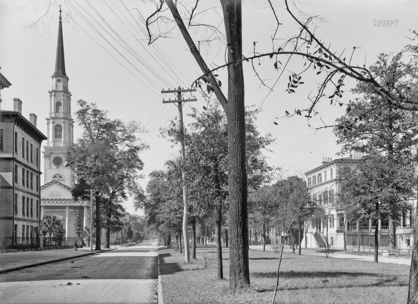 Savannah, Georgia, circa 1905. "Oglethorpe Avenue and Independent Presbyterian Church." A street last glimpsed here, from a slightly different perspective. 5x7 inch dry plate glass negative, Detroit Photographic Company. View full size.
