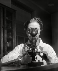 March 1942. "Chicago, Illinois. Provident Hospital, a Negro institution. Laboratory technician." Acetate negative by Jack Delano for the Office of War Information. View full size.