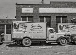 March 1943. "Charlotte, North Carolina. Sunshine Biscuit trucks." From the "Thousand Window Bakeries." Acetate negative by John Vachon for the Office of War Information. View full size.