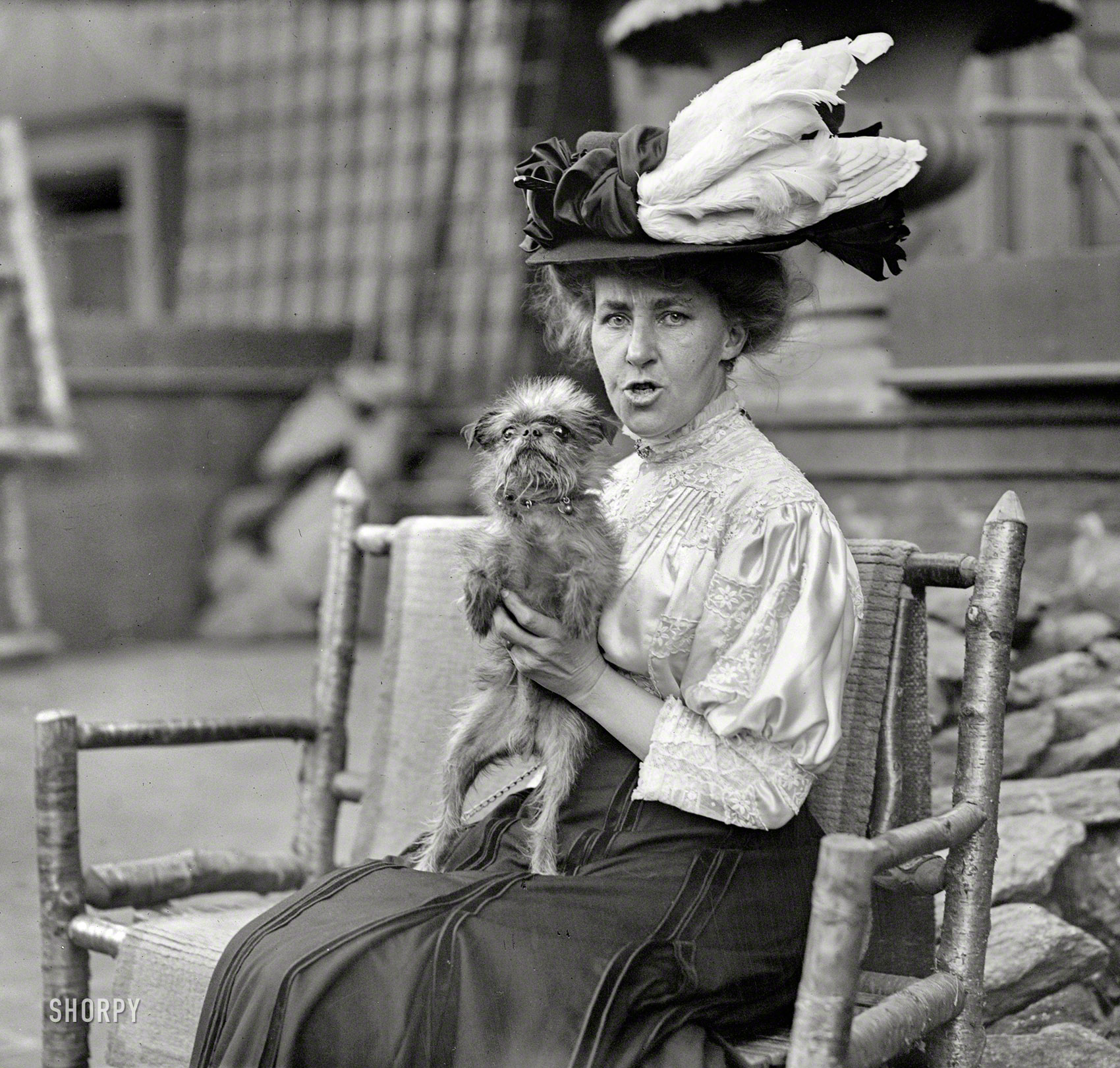 Shorpy Historical Picture Archive :: Feathers and Fur: 1908 high ...
