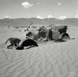 March 1937. "Wind erosion has desolated this once luxuriant bunch grass country in Idaho. Resettlement is restoring the land for grazing." Photo by Wilbur Staats for the Resettlement Administration. View full size.