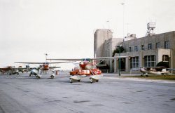 My dad had a new Piper Super Cub fitted with pontoons and this may be where he had it done. This slide would have probably been taken in mid-1957.
Can anyone identify this place? I'd love to know where it is; that's a nice-looking building. I have a couple of other photos taken here but they show planes and probably wouldn't help identify the locale.
I apologize for the terrible focus; I was in the first grade when I took this and was nervous using my dad's camera (Kodak Signet 80, for you camera buffs!). View full size.
More Info!Thanks, Cerrito68; that makes sense! We were living then in Pascagoula, Mississippi. The only other picture I have is here. My dad would usually fly around the Gulf Coast area as far west as Sabine Pass, Texas, and as far wast as Fernandina Beach, Florida, so the location is probably in between those points somewhere. Thanks again!
More info pleaseWhere did you live when the photo was taken?  Do you know if this is in the eastern or western US?  Southern?  The other photos would help identify the airport.  
It could be the New Orleans Lakefront AirportAlso know as the Shushan Airport. The photos I found online
show the same Art Deco detailing.
Possibly From Same AirfieldThis photo, showing two fellows working on the rear end of a PBY, may also be from the same airfield; they were from the same batch of slides.
--Jim
Tail NumbersIf any of your shots have tail numbers, you might be able to do some detective work. Also, if you post the photo of the building on some aviation websites, you might get an answer.
Luscombe....The Taildragger parked in the grass on the right side of the image is a Luscombe 8(A or maybe an E) with metal wings. They could have either metal or fabric wings. This particular one has a single wing strut which indicates that it had metal wings.
I owned a 1947 Luscombe 8A for many years, but mine had fabric wings and two struts that formed a "V" where it connected to the fuselage.
Here is a photo of mine... 
Amazing Eyes You (Two) Have!justhappy's New Orleans identification makes perfect sense to me. That building looks just like the one in the photo, especially if there's another wing of the building out of sight in my photo. Thank you! My dad later started flying out of Houma, Lousiana, and I have a couple of photos taken at that airport.
And bobstothfang: Thanks for IDing that plane. Your Luscombe is beautiful. Love that paint job!
Another wingJim, if you do a Google image search you'll find the building has another wing and you can even find a photo that shows the same metal tower structure seen to the right on the roof in your photo. From what I read online last night, the building was covered in ugly concrete panels in the early 1960's so it could be used as a bomb shelter during the cold war period of the Cuban Missile crisis. The building was damaged during Hurricane Katrina, but they thankfully started returning it to it's former glory in 2010. It was used as a filming location posing as the Ferris Aircraft Headquarters in the Green Lantern movie.
(ShorpyBlog, Member Gallery)