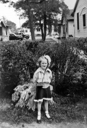 Long before there was a Honey Boo Boo in front of the camera, this little lady was in front of a lens. My suspicion is the buildings behind her are either the cabins of a resort, or a roadside motel that she and her family stayed at, and the photo was taken as a souvenir of that vacation. I bought it from an antique store in Simi Valley, California because of the great truck and car behind Miss Missing Teeth. View full size.
(ShorpyBlog, Member Gallery)