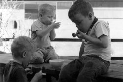 This is my brother Scott on the right, and myself (David) and my identical twin brother Jimmy, practicing the art of juvenile delinquency on the picnic table in our back yard during a hot Tucson summer c. 1964. I can't tell which twin is which, and I'm one of them. View full size.
