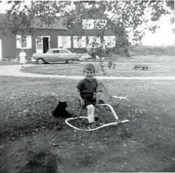 I am not sure which of the Dostie kids this one is, maybe David. But he seems to be having fun on his rocking horse, or moose, don't know. Sometime in the 1950s in Weeks Mill, Maine. Bonus: ID the car. View full size.
(ShorpyBlog, Member Gallery)