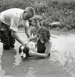 Kids washing a dog. Dog does not seem to be too impressed. From my negatives collection. View full size.
(ShorpyBlog, Member Gallery)