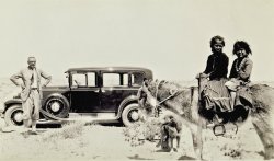 Taken on the Navajo Reservation in 1930 near the settlement of Sunrise, AZ. Living in Los Angeles at the time, my grandparents Harvey Hoag Duryée and his wife Grace Bartlett Kissam, were on a trip through the southwest in their new 1930 Chrysler 77 Crown Sedan. The caption on the back, written in Grace's hand, reads "Navajo girls near Sunrise on road from Oraibi - 1930". (Monday morning quarterbacking: I'm fairly certain the child on the back of the burro is a boy...) On this trip they went to places like Durango Colorado, Bryce Canyon in Utah, the Grand Canyon, and throughout Arizona down to Tombstone and Nogales, documenting their trip with pictures along the way. View full size.
Great photo!Could you post other photos from their trip, if you have them?
More PhotosThanks Isaak, I will post more from Harvey &amp; Grace's trips as time permits - I think I started with the cream of the crop, however. :-)
(ShorpyBlog, Member Gallery)