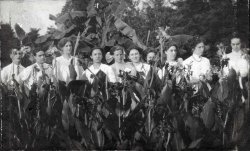 I purchased this at a going-out-of-business sale at an antique store in downtown Paducah, Kentucky. The original photo isn't much larger than a business card; no markings to indicate time or place. The women seem preoccupied with something off to the side. The men seem flat-out annoyed. View full size.