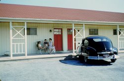 My sister and mother and me on a family road trip in our beautiful black Nash. I loved that car, and thought it was incredibly elegant. I still do. I'm hoping that someone can identify the specific model and year of the car.
The year must be around 1955, and the motel is probably in Maine, New Hampshire or Vermont, but it could also be in New York, New Jersey or Pennsylvania.  
Scanned from a slide taken by my father, Oseo Peter Balestracci. View full size.
Nash police carsIt is a beauty, but paint the doors white on it and it could take its place with all the other Nash police cars in zillions of 1950s movies and TV shows.
Nash &quot;Twin Beds&quot;Why rent a motel room when your car IS a motel room?
Re: Car IDThanks!  I think you're right. Zooming in on the original scan, it looks like the second word on the back of the car is Super.  Definitely starts with an S, anyway.  I don't think we have any other photographs of this car.  I wish I had a complete set of photographs of family cars, complete with identification.  I know my father particularly loved this car, but I don't know why, or when he bought it, or how he chose it.
Nash &quot;Twin Beds&quot;Love the photo of the Nash as bedroom!  Our parents never used the bed feature on the road, but they used to let my sister and me sleep in the car with our cousin Christine when her family came to visit.  We thought that was a great treat, and stayed up late telling stories to each other.
Roadside MotelsSplendid shot. Your car looks to be in great shape for being 5 years old.
This motel looks so similar to the places my family would stop at for the night,way back when. Black and white TV, perhaps a pool, and little old me was good to go!
We would have a nice coffee shop dinner, usually located close by to the room. Then, back to the room for some telly, a bit of reading, and then lights out.
I was just jazzed to be sleeping in a different bed! If we were lucky, there was the Magic Fingers.
Thanks for sharing.
Car IDThat's a 1949 Nash Super, I believe.
Super SpecialNo doubt it's a 1949 Nash Ambassador Super Special. Beautiful car.
Pre &#039;51 for sureThe '51 Nash still had the "bathtub" design but had small fins in which the taillights were mounted so this is a pre '51 for sure. Nice car!
(ShorpyBlog, Member Gallery)