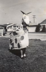 My aunt and my dad as kids (obviously) running around the front yard pretending to be a horse. Since this takes coordination of two people, I imagine they didn't play too much in this.
SparkplugSparkplug, as any dedicated comic strip reader can tell you, was Barney Google's horse. According to one source, "Barney was one of nature's victims -- the man everyone picked on." Sparkplug preferred to race in his patched blanket, which "did not affect his performance."
The strip "enriched" the language with phrases like "heebie-jeebies" and "yardbird." In later years, Barney met up with Snuffy Smith and his folk in hillbilly country.
Pantomime horseMy guess is that Ol' Sparkplug was for some school play or pageant, or maybe a parade? Also, a nice view of a classic 1940s housing development. Where is this? UPDATE: That question got answered in your other photo. I was going to guess Southern California.
Sparkplug &amp; BarneyAnother view of Sparkplug here.
(ShorpyBlog, Member Gallery)