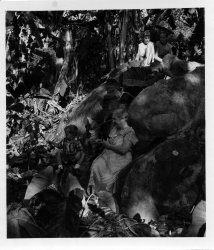 This photo was taken sometime in the '50's, probably by my Grandfather, near El Pao, Venezuela.  That's my great-grandmother leaning on the rock next to one of my uncles.  My mother is the girl on the left on top of the rock.  I don't know who that is sitting next to her. 