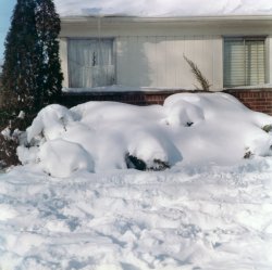 Winter 1964 in Wayne County, Michigan. This is the kind of snow I remember from my childhood: the green grass a distant memory, Dad's shrubs bowed over from the weight of the snowfall, and deadly icicles hanging from the gutters. The following Autumn, I started Kindergarten at my local Elementary school. Yes, I had to walk uphill both ways. View full size.
We had a blastI remember that winter well. At 7 years old I don't think we felt the cold. We would stay out all day building snow forts and tunnels. I don't see any kids out today, perhaps there is a video game for that. 
Where in Wayne County?Inquiring minds that were born and raised there want to know.
(ShorpyBlog, Member Gallery)